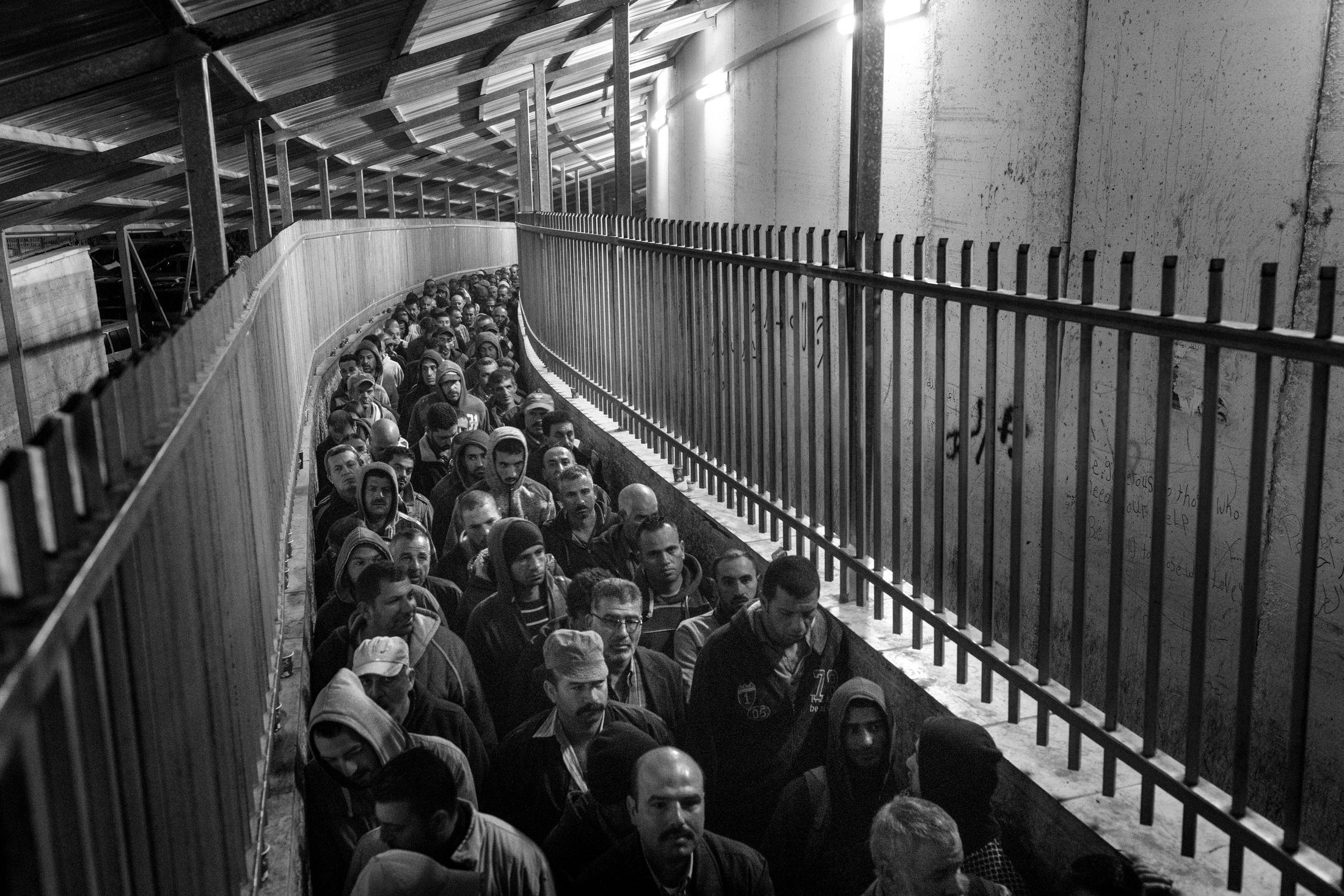 Still Here. Resistenza Contemporanea: Minneapolis, Ucraina, Palestina — 3