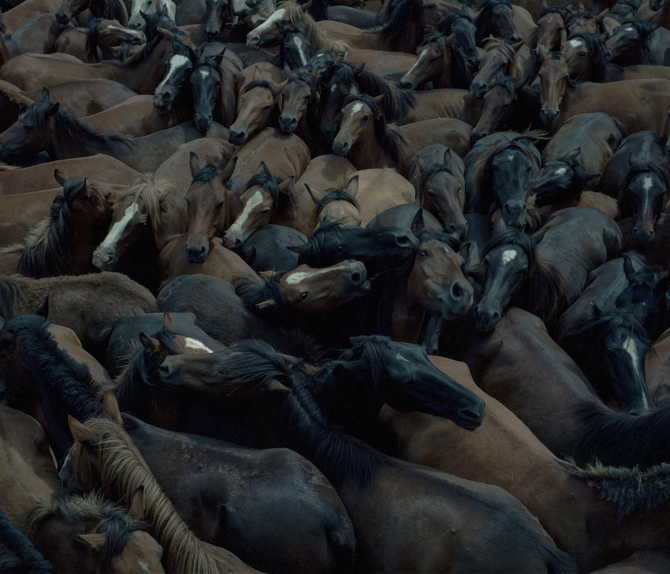 Beyond the Lake (Premio Marco Pesaresi 2025) — 3