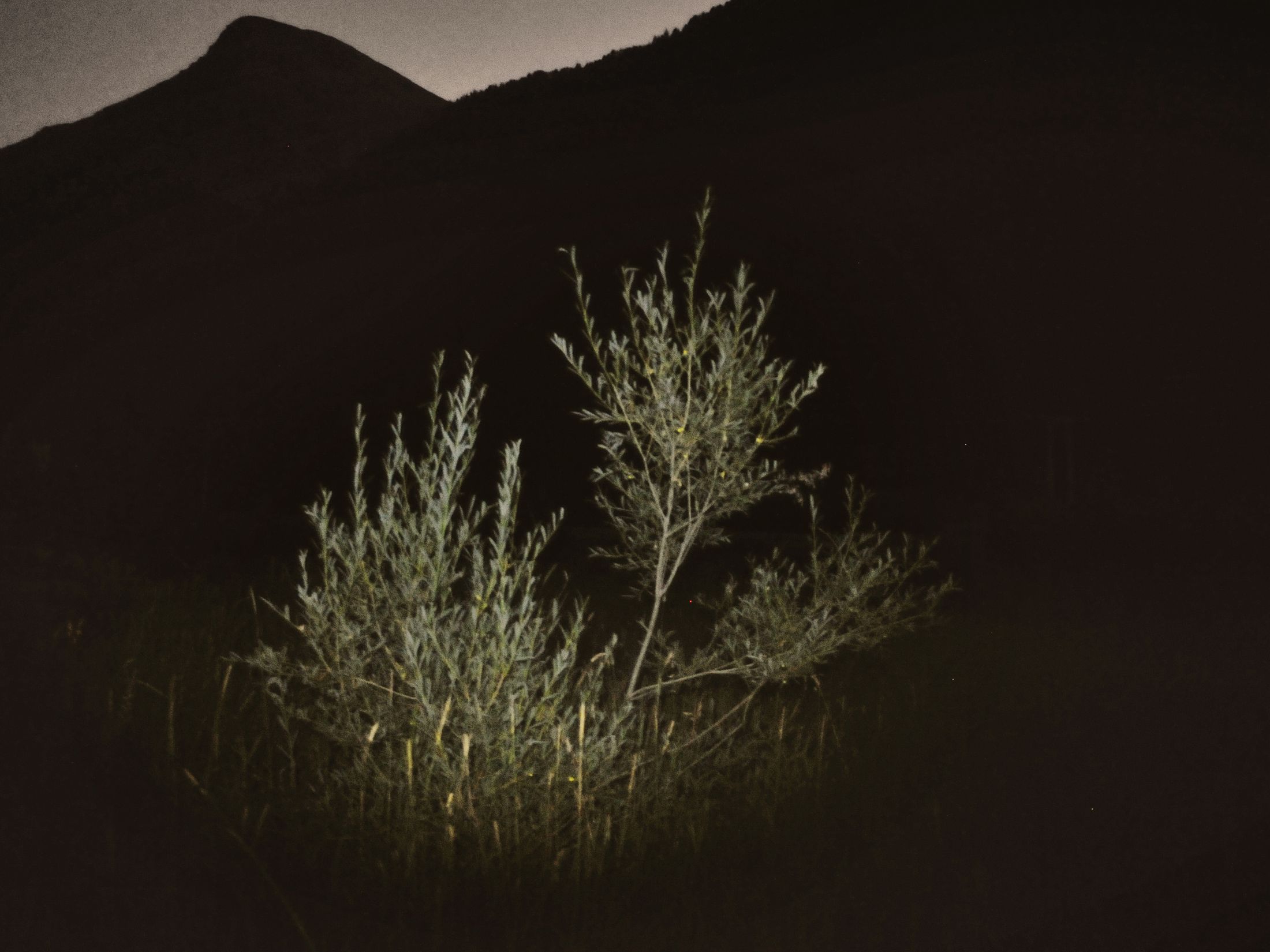 Nowhere (Premio Portfolio Italia 2025) — 4