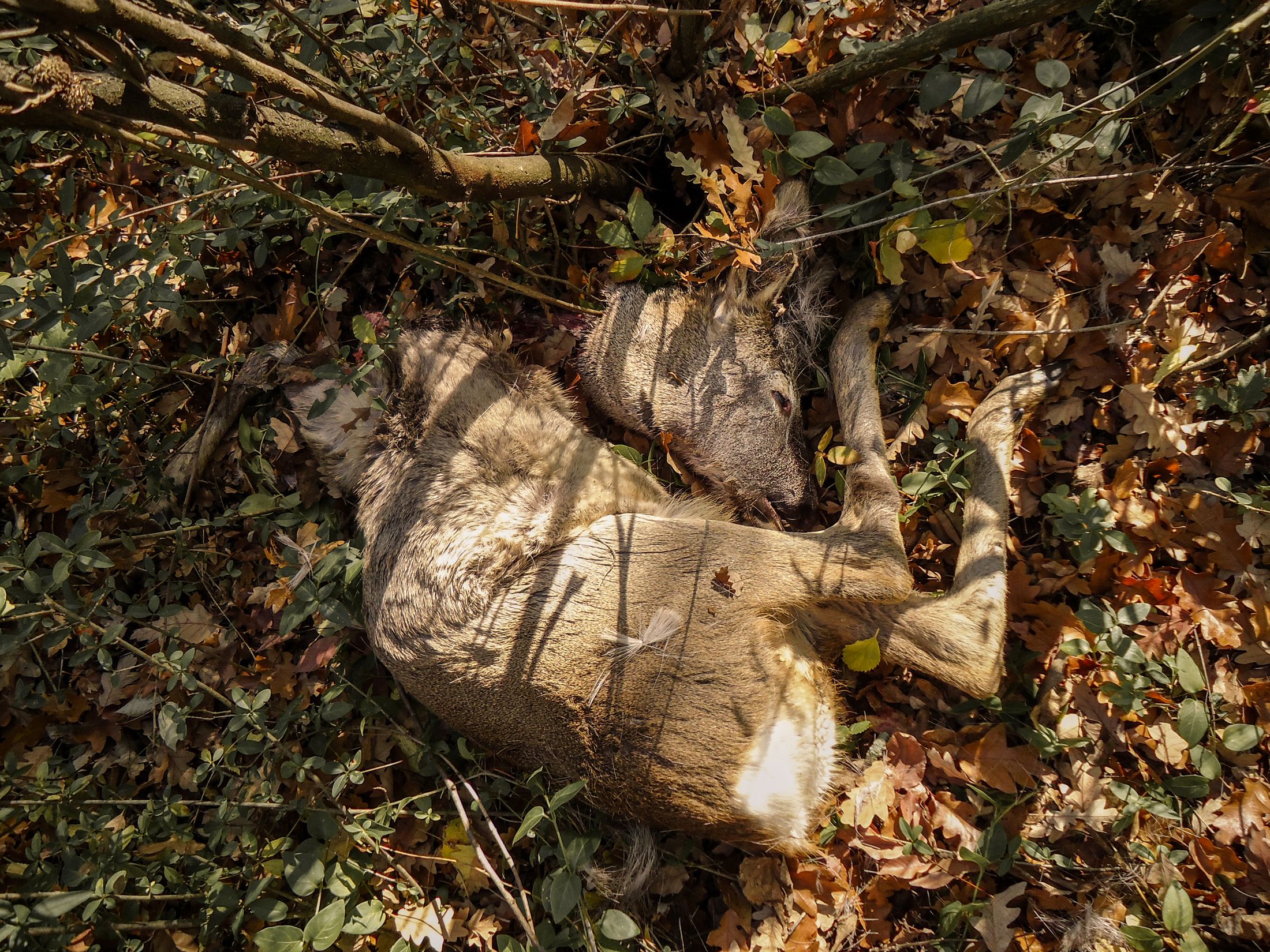 Nowhere (Premio Portfolio Italia 2025) — 5