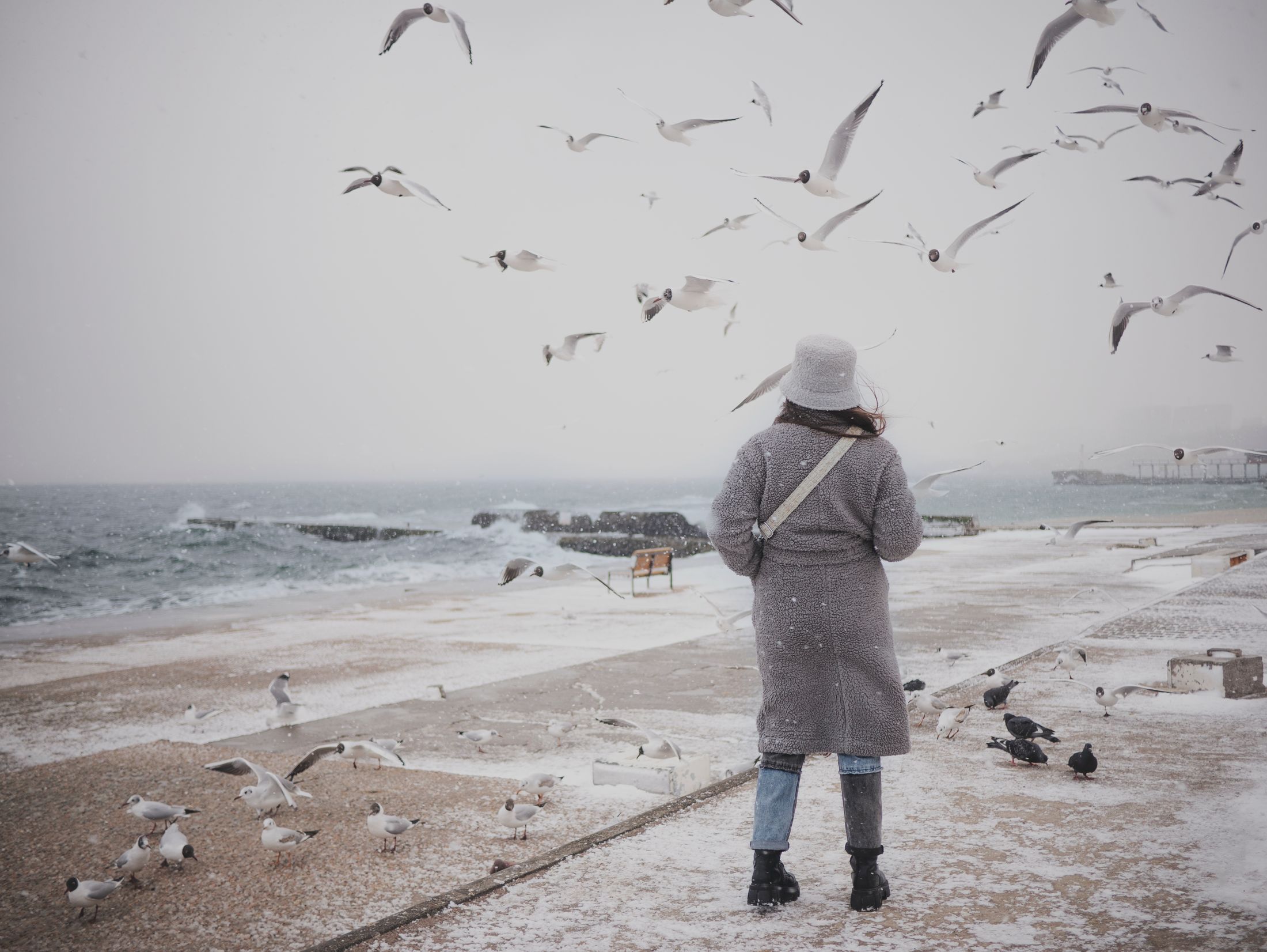 Still Here. Resistenza Contemporanea: Minneapolis, Ucraina, Palestina — 10