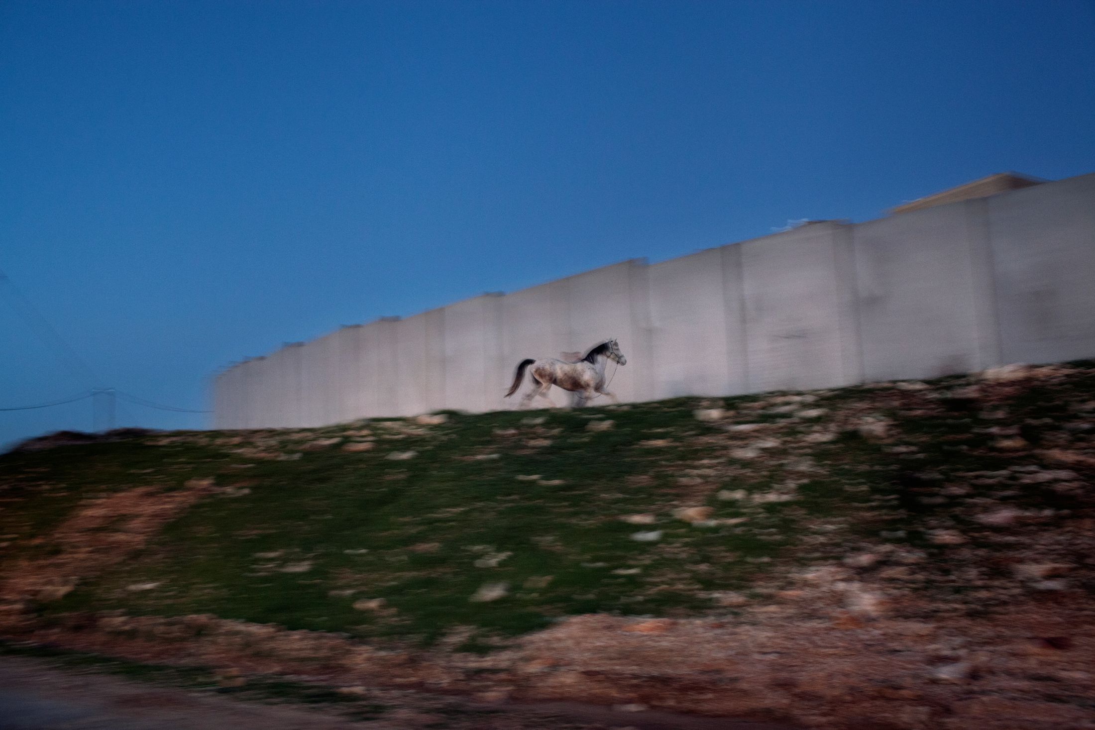 Still Here. Resistenza Contemporanea: Minneapolis, Ucraina, Palestina — 2