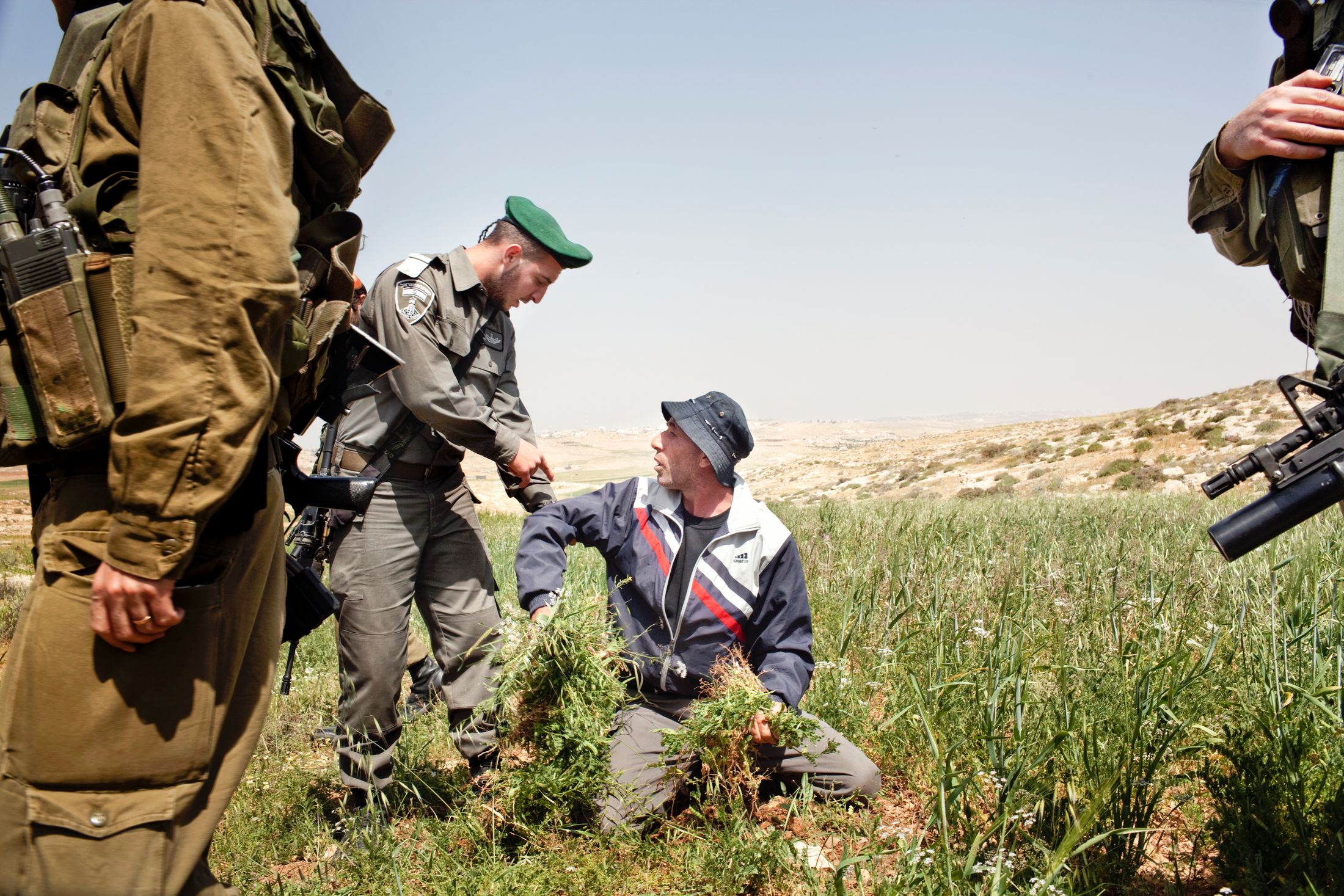 Still Here. Resistenza Contemporanea: Minneapolis, Ucraina, Palestina — 7