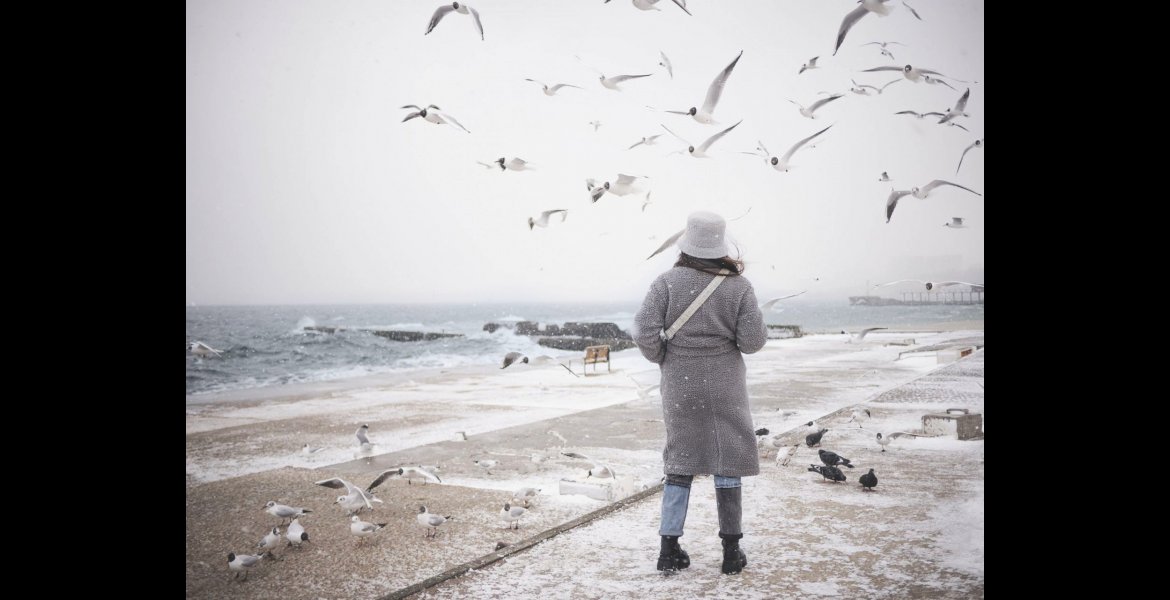 Alfredo Bosco