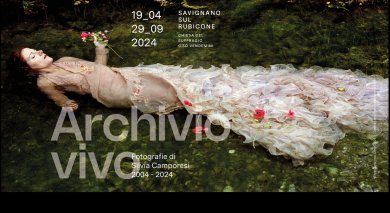 Archivio vivo 2004-2024