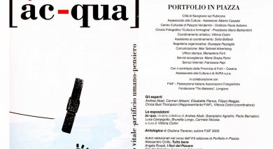 Portfolio in Piazza