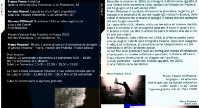 Portfolio in Piazza